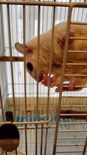 〒010-0874 秋田県秋田市千秋久保田町４−２