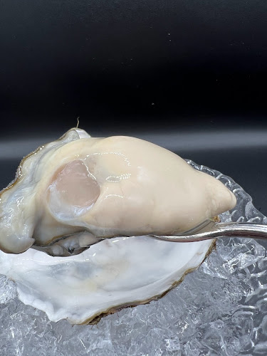 Comentarii opinii despre Portovino ポルトヴィーノ