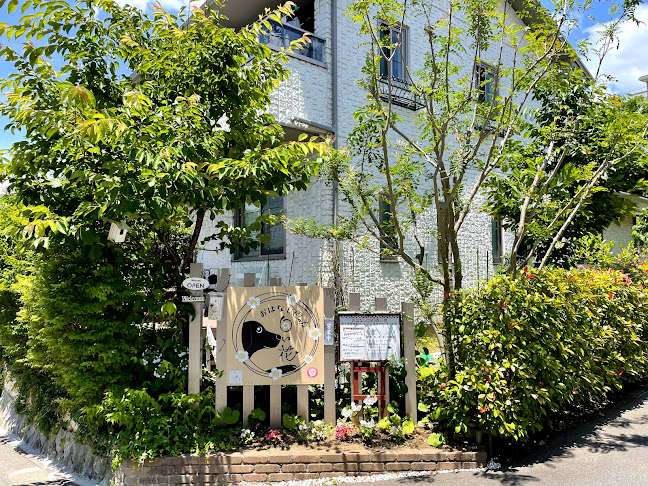 おはなしCafe白い花 - 三島市