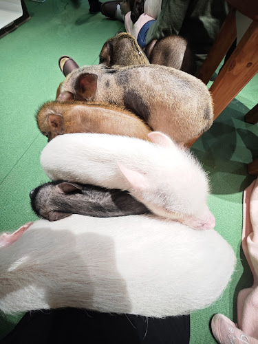 〒343-0828 埼玉県越谷市レイクタウン４丁目2番地2 イオンレイクタウン kaze 1F