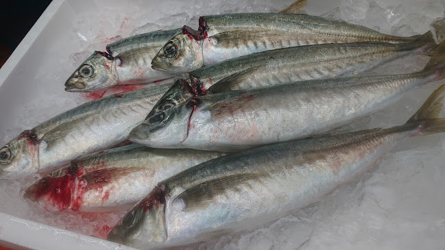 （有）マルエ水産 - 姫路市