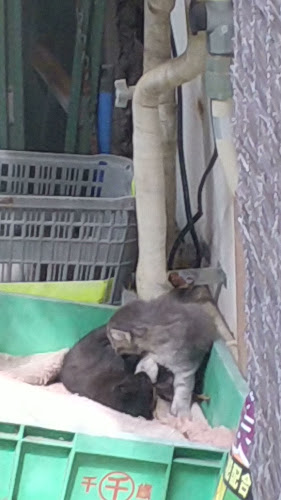 コーヒーハウス アロマ - 姫路市