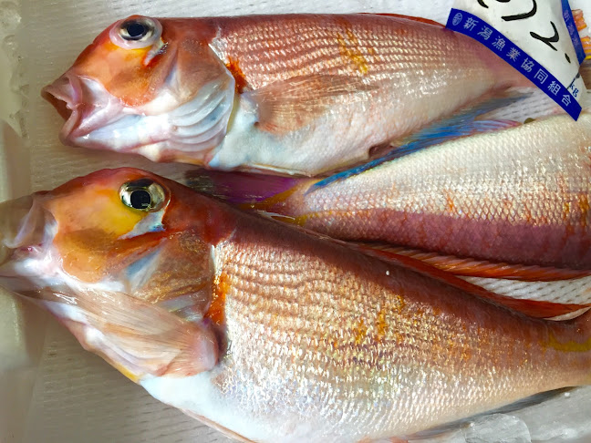 Comentarii opinii despre ラ・ジェンマ