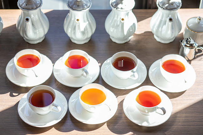 Opinii despre カフェテラス 1952 în 浜松市 - 飲食業