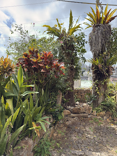 沖縄そばの店 しむじょう - 飲食業