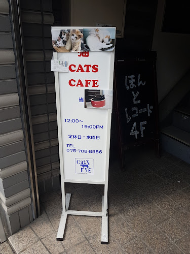猫カフェギャラリーキャッツアイ - 飲食業