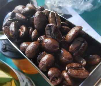 〒557-0033 大阪府大阪市西成区梅南１丁目２−２８