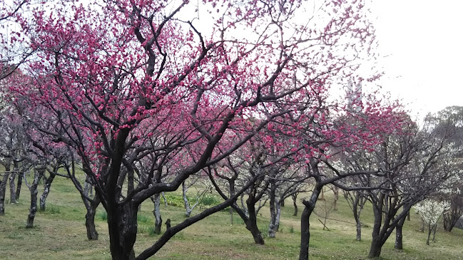GoodBBQ山田池公園 - 飲食業