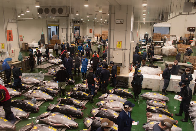 豊洲市場 - 飲食業
