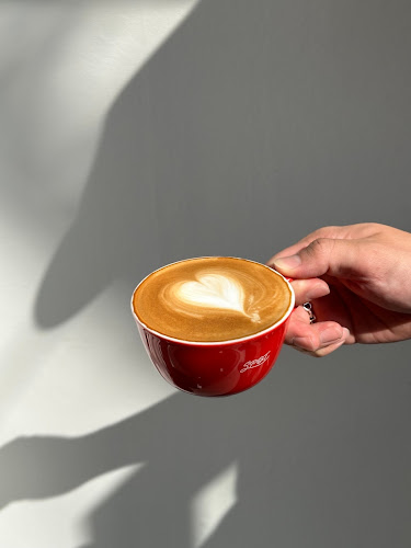 Comentarii opinii despre spot