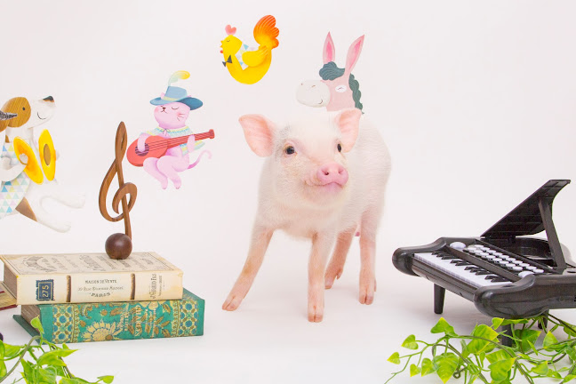 mipig cafe イオンレイクタウン店 - 越谷市