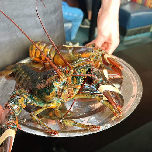 レッドロブスター 逗子店 - 逗子市