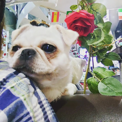 〒615-8017 京都府京都市西京区桂河田町１５１