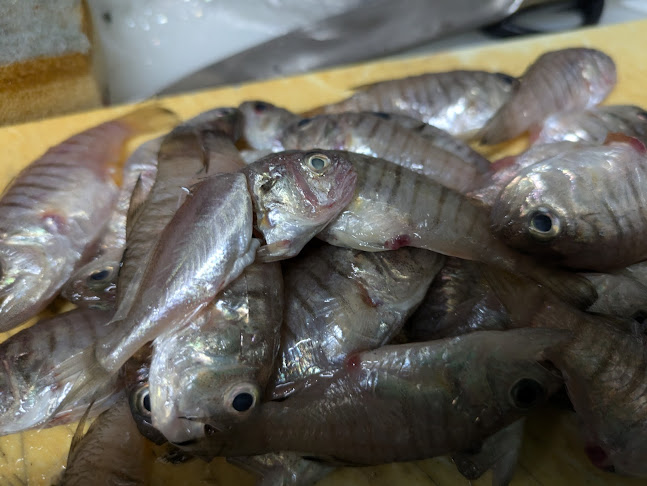 Comentarii opinii despre 居酒屋食堂 めっし