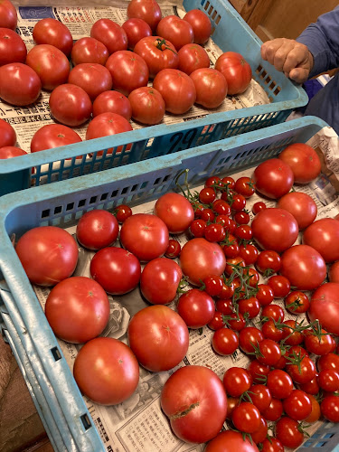 京賀茂野菜 森田農園直売所 - 京都市