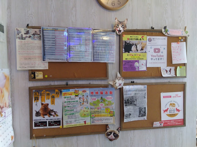 猫カフェ十にゃん十色 - 習志野市