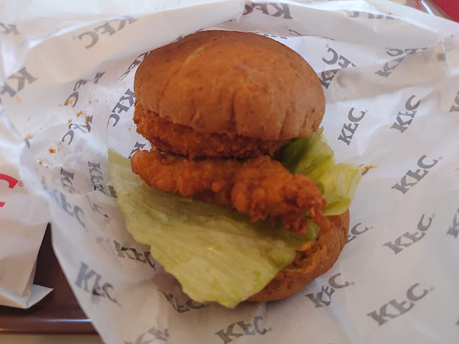 〒690-0826 島根県松江市学園南１丁目２２−１７