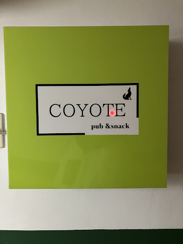 Comentarii opinii despre コヨーテ