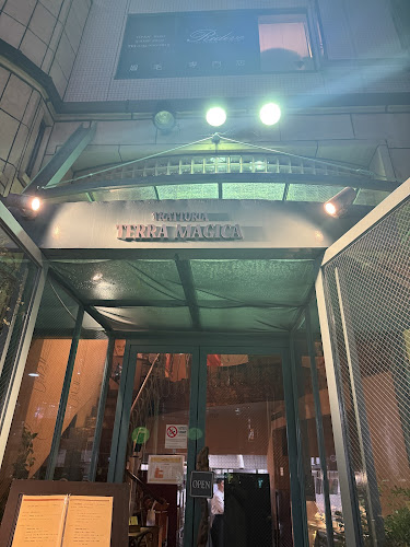 Comentarii opinii despre テラマジカ