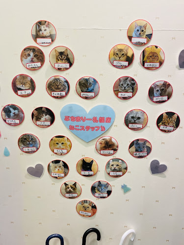 Puchi Marry ラソラ札幌店 - 札幌市