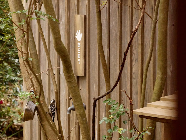 Opinii despre いきぬきどころ/きんど în 福岡市 - 飲食業