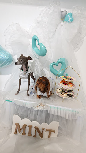 Dog 🐾café & Bar mint(ドッグカフェミント) - 堺市