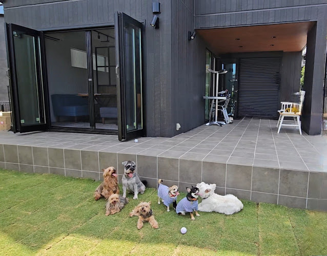 DouDouDo - 船橋市