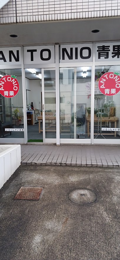 ANTONIO 青果