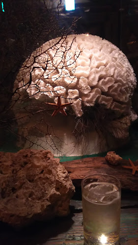 シェルハウス(海底バー) - 飲食業