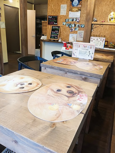 Comentarii opinii despre DogCafe Gaju