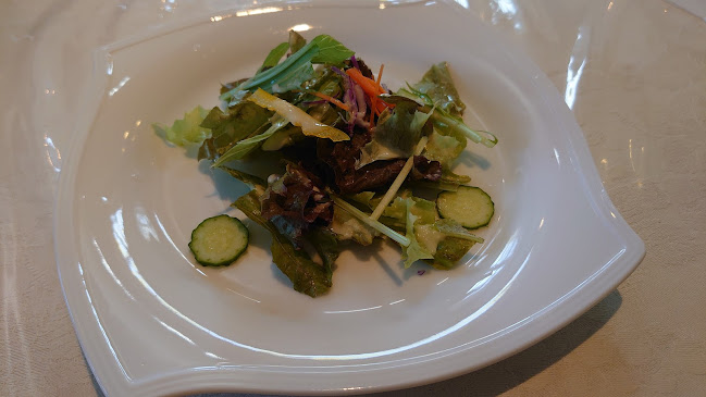 Comentarii opinii despre 西洋肉料理 岡