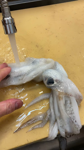 Opinii despre 京風一品料理 きよみず（Kiyomizu） în 松山市 - 飲食業