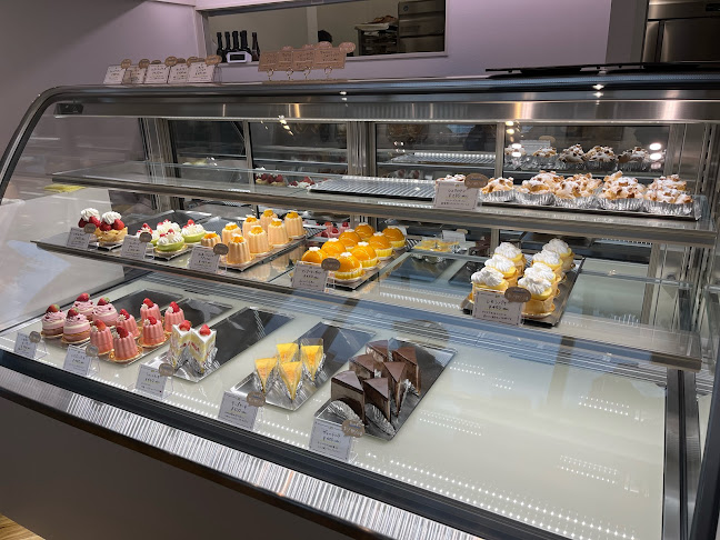 リュードゥロワ(ryuduroi)