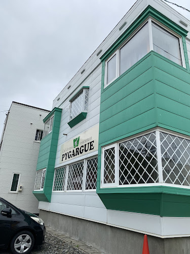 Comentarii opinii despre ピガール