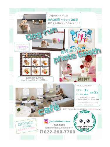 Dog 🐾café & Bar mint(ドッグカフェミント) - 飲食業