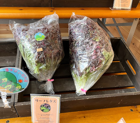 Comentarii opinii despre 山本Farm野菜直売所