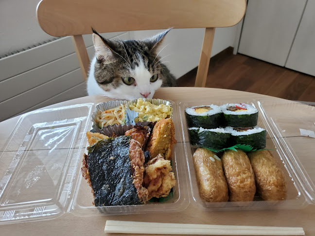 Opinii despre 七福弁当 鈴木商店 în 旭川市 - 飲食業