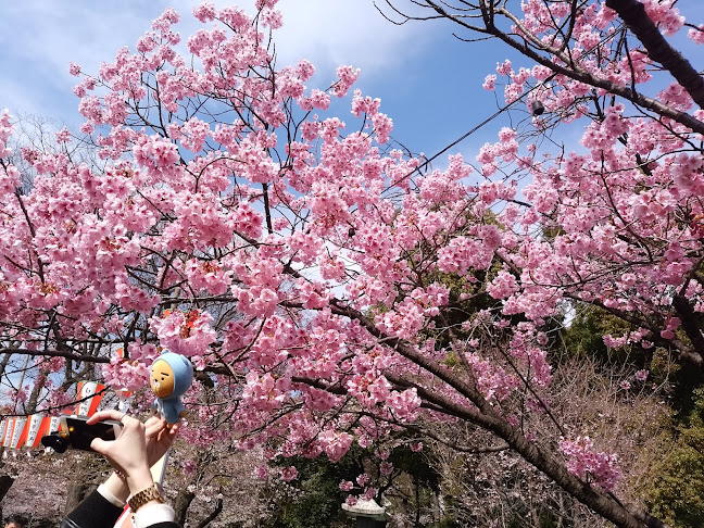 Opinii despre 上野精養軒 în 台東区 - 飲食業