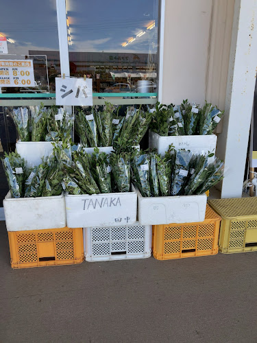 JAながさき県央 ファーマーズマーケットきん彩 - 諫早市