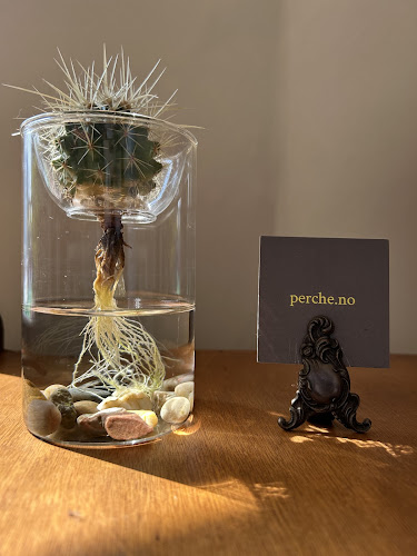 〒790-0002 愛媛県松山市二番町３丁目１０−６ 村上ビル 1階Ａ号