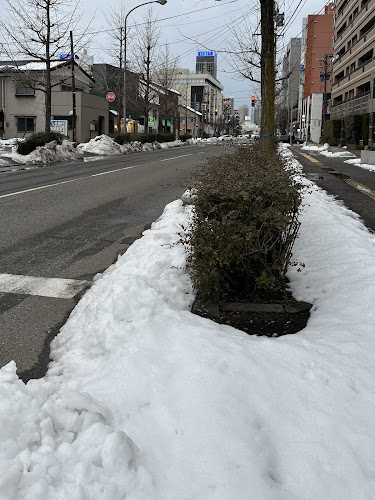 〒950-0902 新潟県新潟市中央区南万代町２−１４ 青島ラーメン