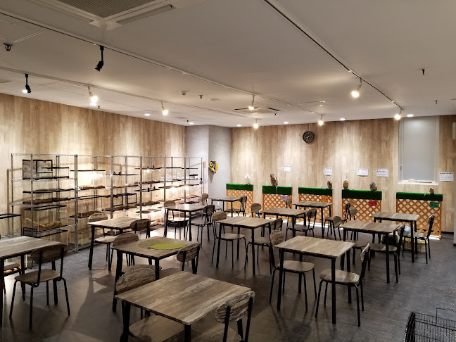 エキゾチックアニマルカフェRicky秋田店 猫カフェ+