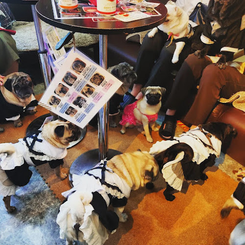 Opinii despre パグカフェ LivingRoom 京都 în 京都市 - 飲食業