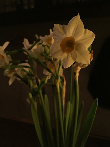 〒154-0021 東京都世田谷区豪徳寺１丁目３８−９ 大町ビル 1F