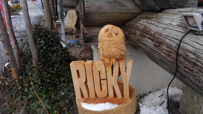 Opinii despre エキゾチックアニマルカフェRicky秋田店 猫カフェ+ în 秋田市 - 飲食業