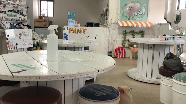 Comentarii opinii despre Dog 🐾café & Bar mint(ドッグカフェミント)