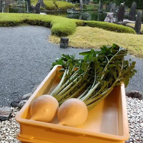 Opinii despre 甘味処 団ぷ鈴 în 京都市 - 飲食業