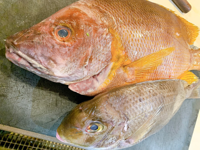 〒657-0027 兵庫県神戸市灘区永手町１丁目４−１６ アルパー六甲 1階 東側