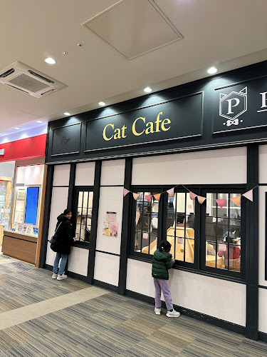 Puchi Marry ラソラ札幌店