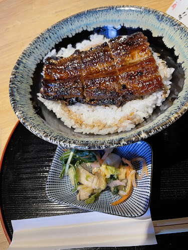 Comentarii opinii despre うなぎの菊水